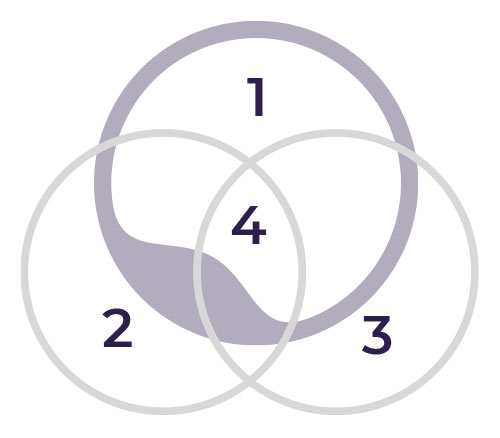 schema-Gisele-Delorme